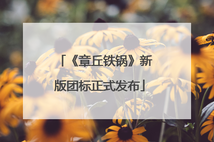 《章丘铁锅》新版团标正式发布