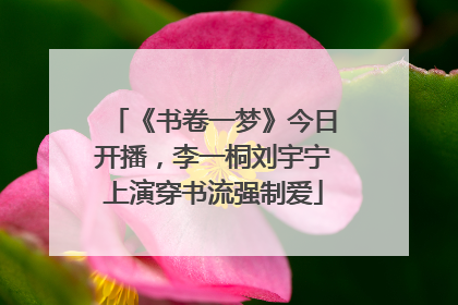 《书卷一梦》今日开播，李一桐刘宇宁上演穿书流强制爱