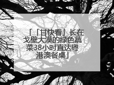 「甘快看」长在戈壁大漠的绿色蔬菜38小时直达粤港澳餐桌