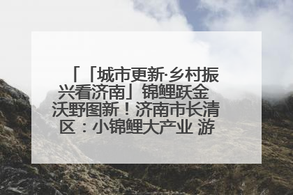 「城市更新·乡村振兴看济南」锦鲤跃金 沃野图新！济南市长清区：小锦鲤大产业 游出农旅新风景