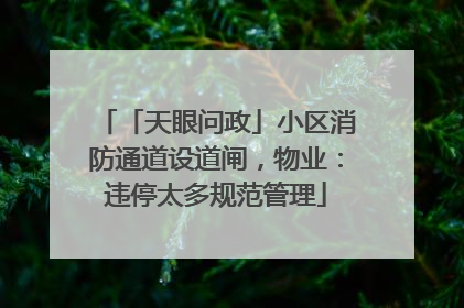 「天眼问政」小区消防通道设道闸，物业：违停太多规范管理
