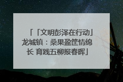 「文明彭泽在行动」龙城镇：桑果盈筐情绵长 育践五柳报春晖