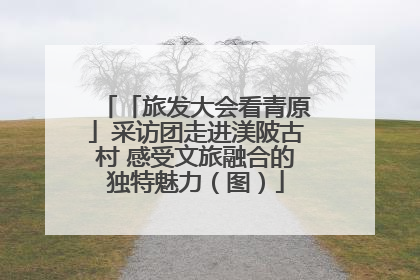 「旅发大会看青原」采访团走进渼陂古村 感受文旅融合的独特魅力（图）
