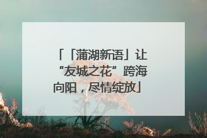 「蒲湖新语」让“友城之花”跨海向阳，尽情绽放
