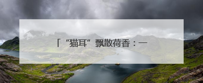 “猫耳”飘散荷香：一座江心岛的生态蜕变