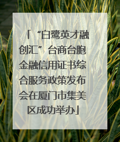 “白鹭英才融创汇”台商台胞金融信用证书综合服务政策发布会在厦门市集美区成功举办