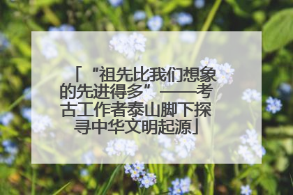 “祖先比我们想象的先进得多”——考古工作者泰山脚下探寻中华文明起源