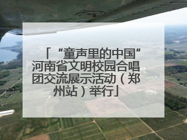 “童声里的中国”河南省文明校园合唱团交流展示活动（郑州站）举行