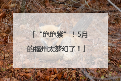 “绝绝紫”！5月的福州太梦幻了！