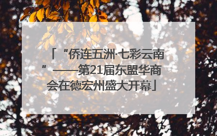 “侨连五洲·七彩云南”——第21届东盟华商会在德宏州盛大开幕