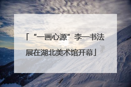 “一画心源”李一书法展在湖北美术馆开幕
