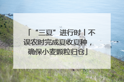 “三夏”进行时丨不误农时完成夏收夏种，确保小麦颗粒归仓