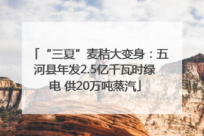 “三夏”麦秸大变身：五河县年发2.5亿千瓦时绿电 供20万吨蒸汽