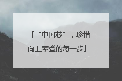 “中国芯”，珍惜向上攀登的每一步