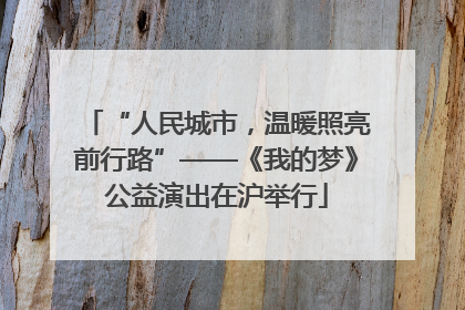 “人民城市，温暖照亮前行路”——《我的梦》公益演出在沪举行