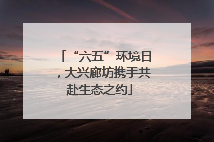 “六五”环境日，大兴廊坊携手共赴生态之约