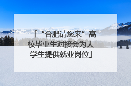 “合肥请您来”高校毕业生对接会为大学生提供就业岗位