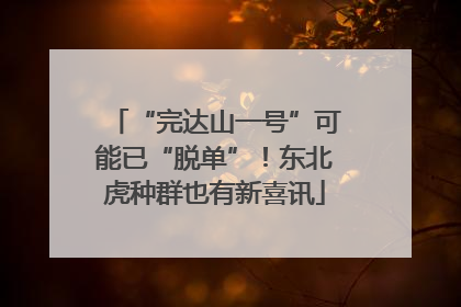 “完达山一号”可能已“脱单”！东北虎种群也有新喜讯