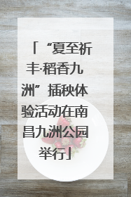“夏至祈丰·稻香九洲”插秧体验活动在南昌九洲公园举行