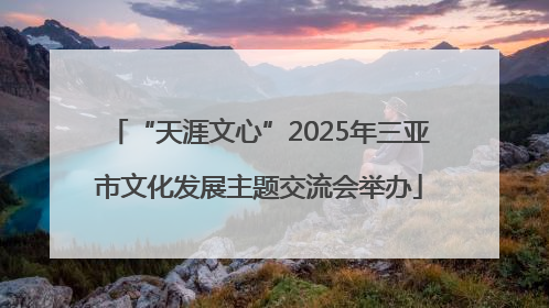 “天涯文心”2025年三亚市文化发展主题交流会举办