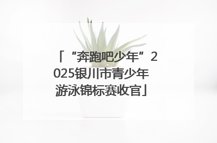 “奔跑吧少年”2025银川市青少年游泳锦标赛收官