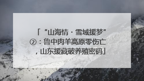 “山海情・雪域援梦”②：鲁中肉羊高原零伤亡，山东援藏破养殖密码