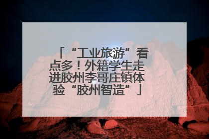 “工业旅游”看点多！外籍学生走进胶州李哥庄镇体验“胶州智造”