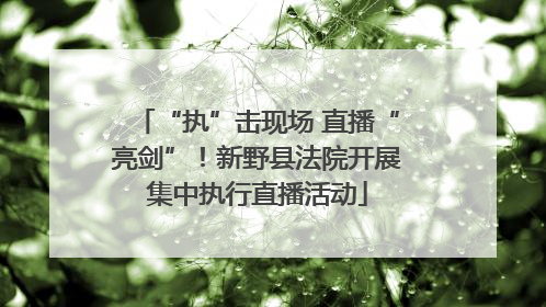 “执”击现场 直播“亮剑”！新野县法院开展集中执行直播活动
