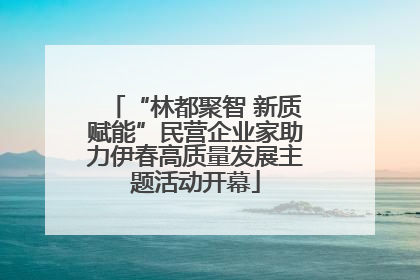 “林都聚智 新质赋能”民营企业家助力伊春高质量发展主题活动开幕