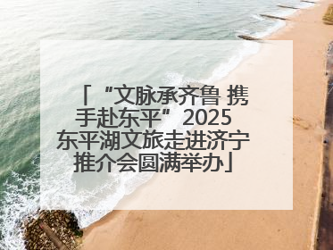 “文脉承齐鲁 携手赴东平”2025东平湖文旅走进济宁推介会圆满举办