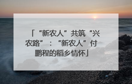 “新农人”共筑“兴农路”：“新农人”付鹏程的稻乡情怀
