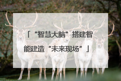 “智慧大脑”搭建智能建造“未来现场”