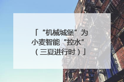 “机械城堡”为小麦智能“控水”（三夏进行时）