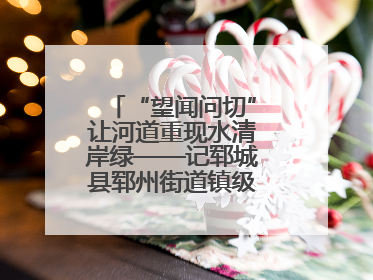 “望闻问切”让河道重现水清岸绿——记郓城县郓州街道镇级河长孟泓辰