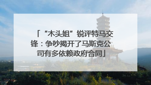 “木头姐”锐评特马交锋：争吵揭开了马斯克公司有多依赖政府合同