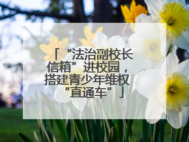 “法治副校长信箱”进校园，搭建青少年维权“直通车”