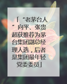 “老茅台人”向平、张贵超获推荐为茅台集团副总经理人选，后者是集团最年轻党委委员
