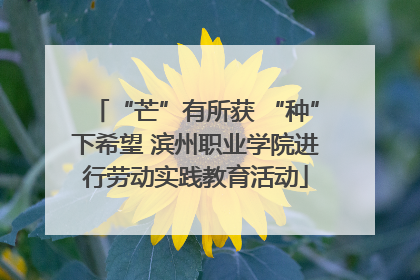 “芒”有所获 “种”下希望 滨州职业学院进行劳动实践教育活动