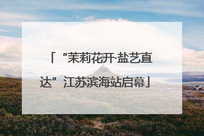 “茉莉花开·盐艺直达”江苏滨海站启幕