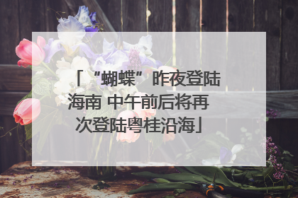 “蝴蝶”昨夜登陆海南 中午前后将再次登陆粤桂沿海