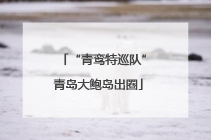 “青鸾特巡队”青岛大鲍岛出圈