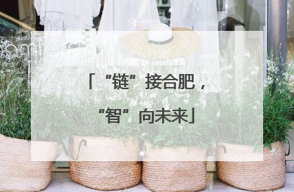 “链”接合肥，“智”向未来