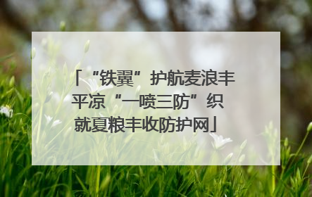“铁翼”护航麦浪丰 平凉“一喷三防”织就夏粮丰收防护网