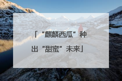 “麒麟西瓜”种出“甜蜜”未来
