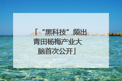 “黑科技”频出 青田杨梅产业大脑首次公开