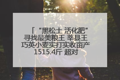 “黑松土 活化肥”寻找最美粮王 莘县王巧英小麦实打实收亩产1515.4斤 超对照田144斤！