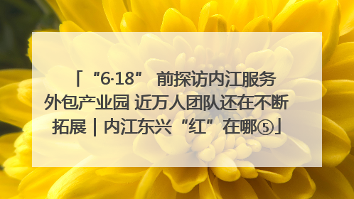 “6·18” 前探访内江服务外包产业园 近万人团队还在不断拓展｜内江东兴“红”在哪⑤