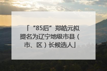 “85后”郑皓元拟提名为辽宁地级市县（市、区）长候选人