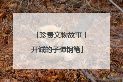 珍贵文物故事丨开诚的子弹钢笔