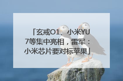 玄戒O1、小米YU7等集中亮相，雷军：小米芯片要对标苹果